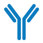An icon of an antibody.