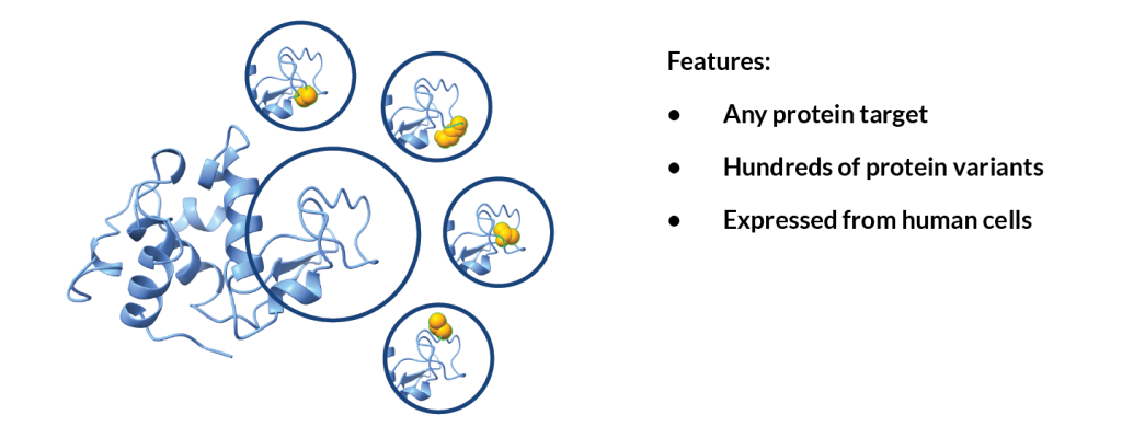 An image showing protein variants.