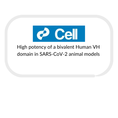 FINAL-FINAL-VERSION-12622-case-studies-and-publications-box-template-for-MPA-page-400-x-400-px-22.png