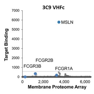 MPA specificity data for VH-Fc 3C9 shows strong binding to mesothelin and no off-targets. Expected interactions with FCGR are present but weak.