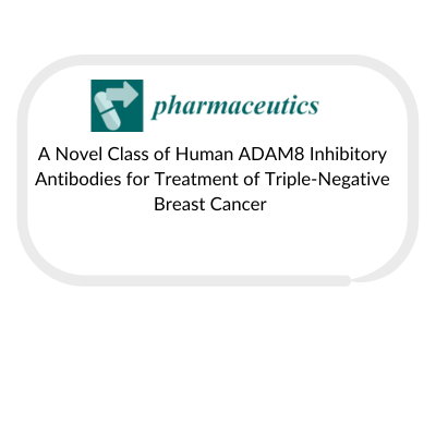 case-studies-and-publications-box-template-for-website-82.png
