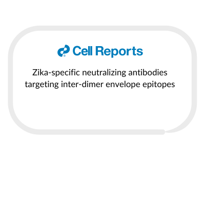 case-studies-and-publications-box-template-for-website-85.png