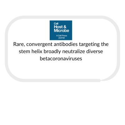 case-studies-and-publications-box-template-for-website-86.png
