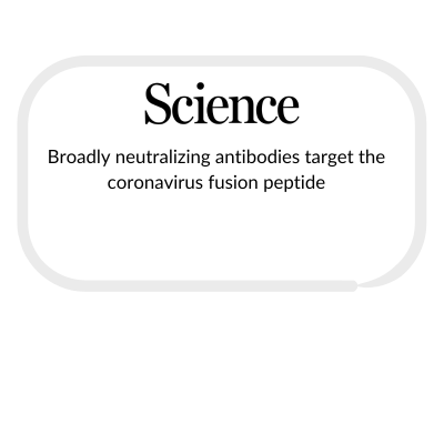 case-studies-and-publications-box-template-for-website-87.png
