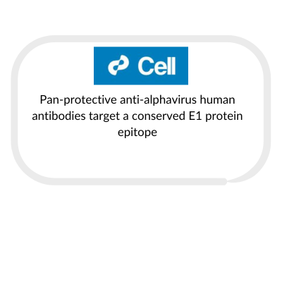 case-studies-and-publications-box-template-for-website-89.png