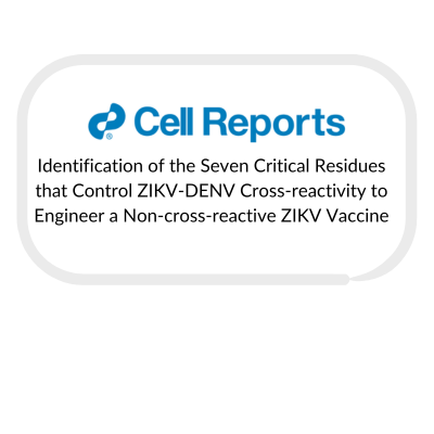 Identification of the Seven Critical Residues that Control ZIKV-DENV Cross-reactivity