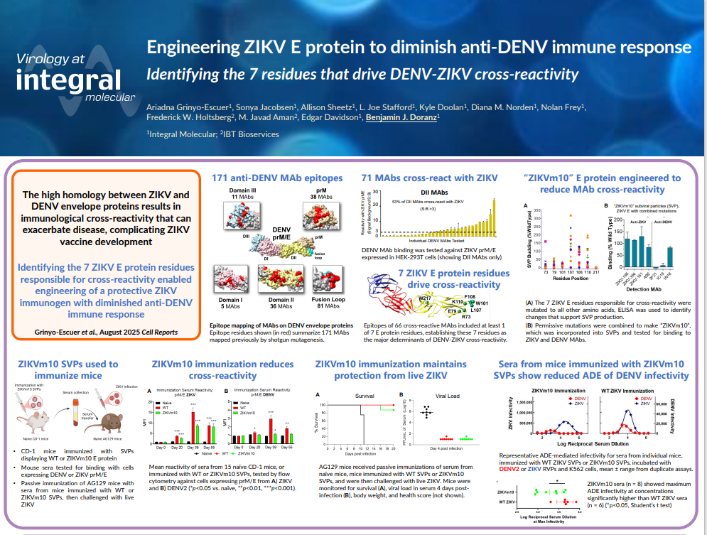 Flavivirus Poster