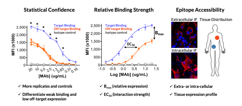 Enhanced Binding Analysis performs a statistical assessment, measures relative binding strength, and evaluates epitope accessibility.