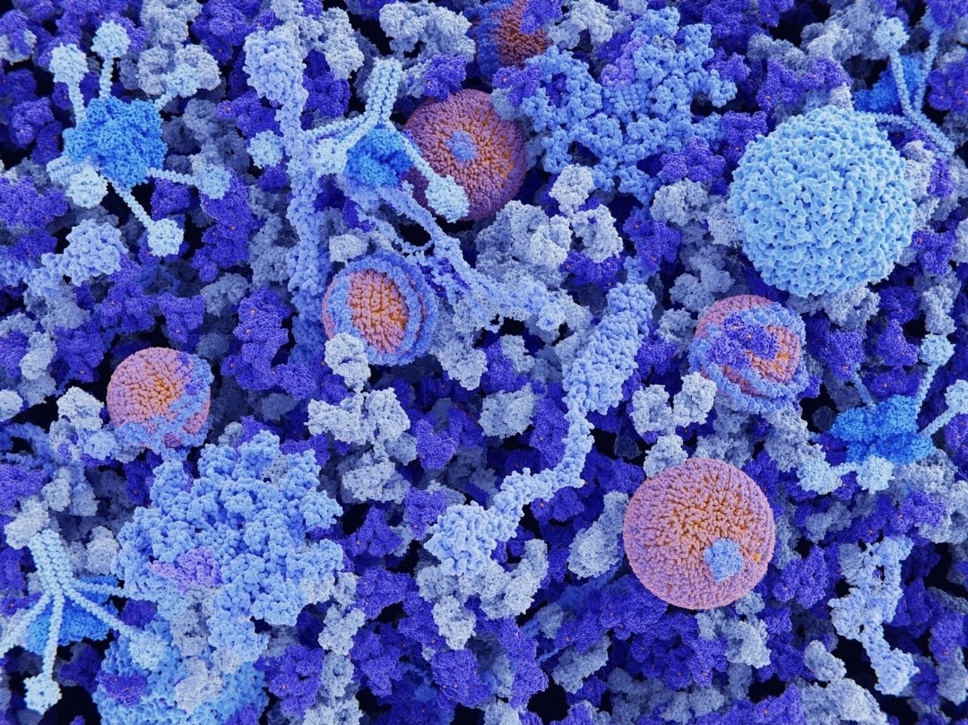 plasma is rich with soluble proteins