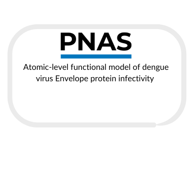 case-studies-and-publications-box-template-for-website-7.png