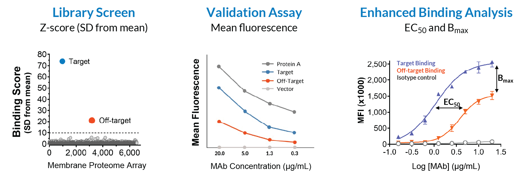 Three panels showing quantitative flow cytometry outputs of an MPA study: Binding Scores from the library screen, mean fluorescence across a four-point titration in the validation assay, and EC50 and Bmax binding curves from Enhanced Binding Analysis.