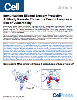 Cell Publication: Immunization-Elicited Broadly Protective Antibody Reveals Ebolavirus Fusion Loop as a Site of Vulnerability.