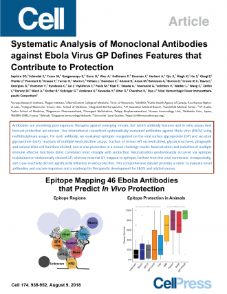 Cell publication: Systematic Analysis of Monoclonal Antibodies against Ebola Virus GP Defines Features that Contribute to Protection.