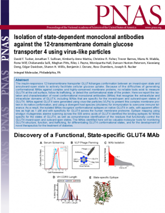 PNAS publication: Isolation of state-dependent monoclonal antibodies against the 12-transmembrane domain glucose transporter 4 using virus-like particles.