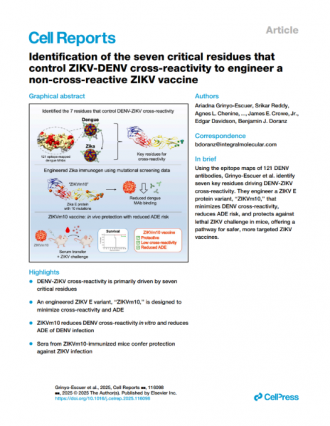 Identification of the Seven Critical Residues that Control ZIKV-DENV Cross-reactivity